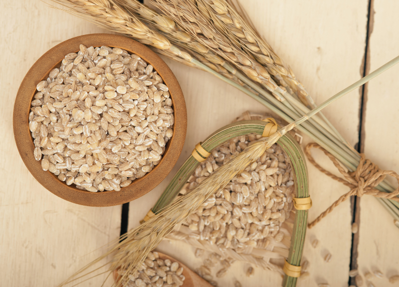 Bukan Makanan Biasa! Ini Keunggulan Gandum & Barley dalam Sunnah