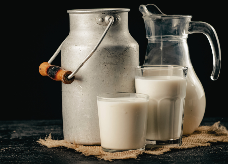 Susu Kambing vs. Susu Sapi: Mana yang Lebih Sehat dalam Islam?